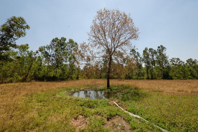 Upvan Wildlife Resort - Pura Stays Kalagarh Exterior photo